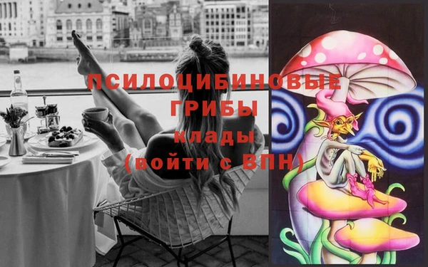 spice Богданович