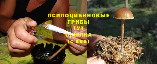 не бодяженный Богородск