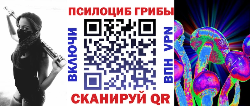 купить наркотики сайты  Вятские Поляны  ссылка на мегу маркетплейс  Псилоцибиновые грибы MAGIC MUSHROOMS 