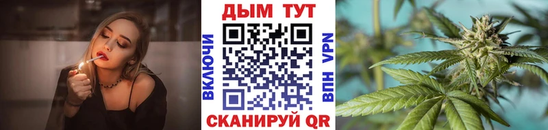 где купить   Вятские Поляны  Шишки марихуана гибрид 